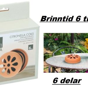 Citronella spiral 6 st i terrakotta